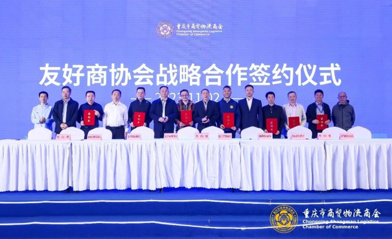 上海进出口代理行业的最新动态